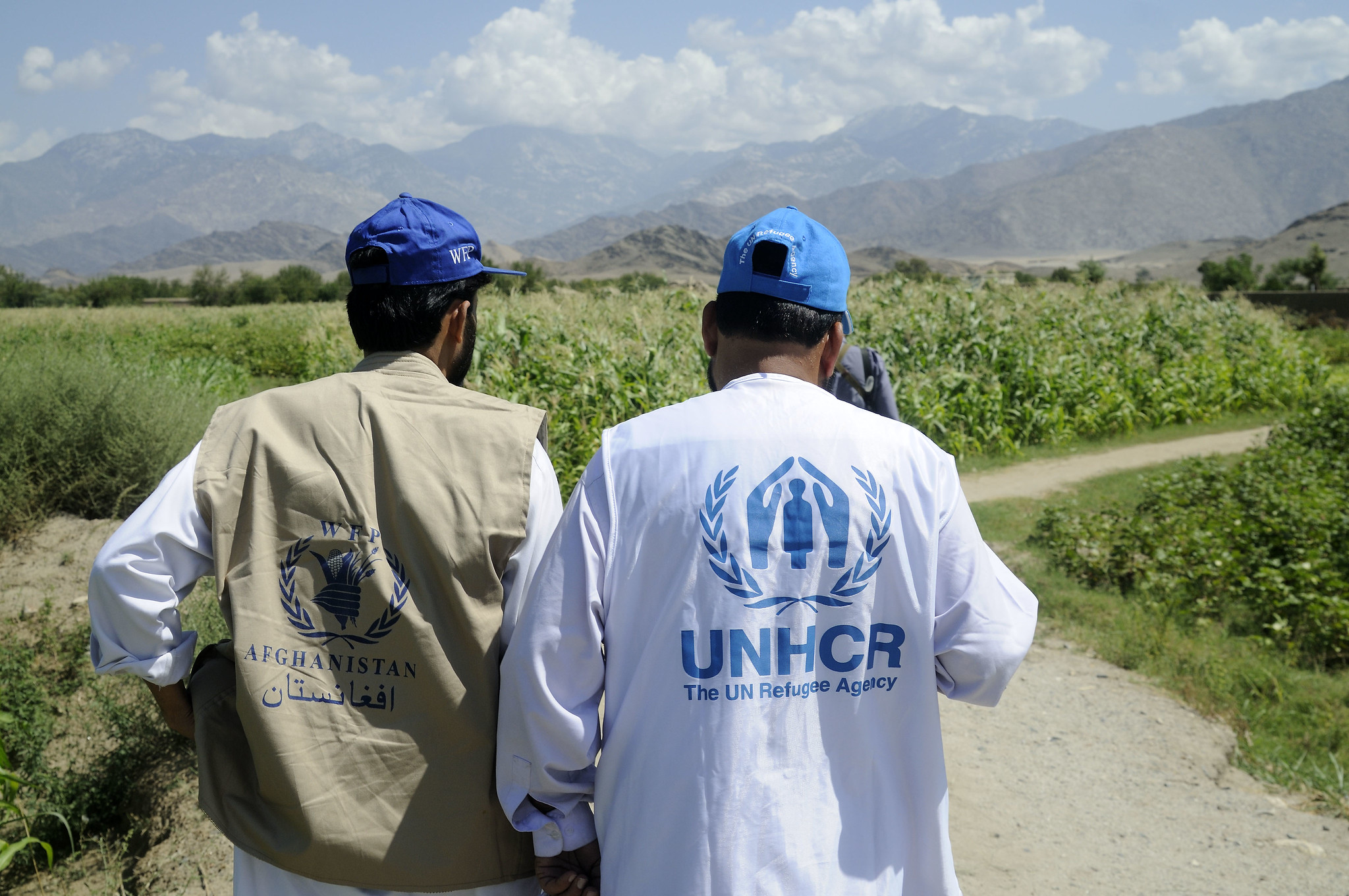alkove vokal Hotellet Documents - WFP-UNHCR Joint Hub