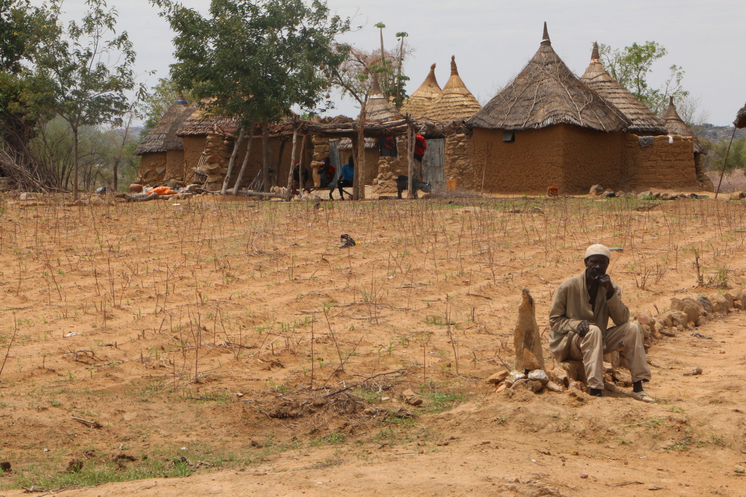 Cameroon - WFP-UNHCR Joint Hub