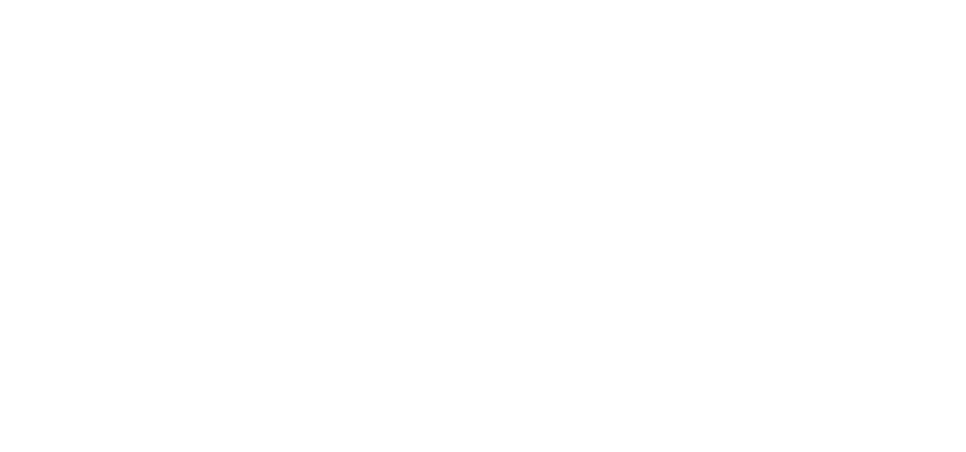 Annual Report 2024/ NEWS