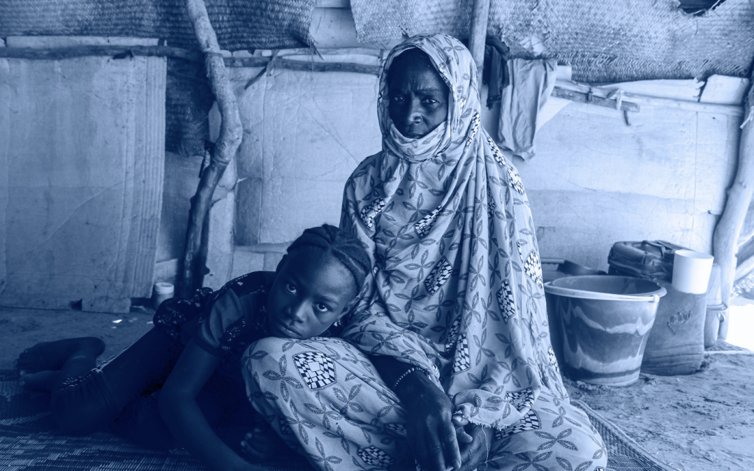 Joint Hub Niger Learning Review 2025
